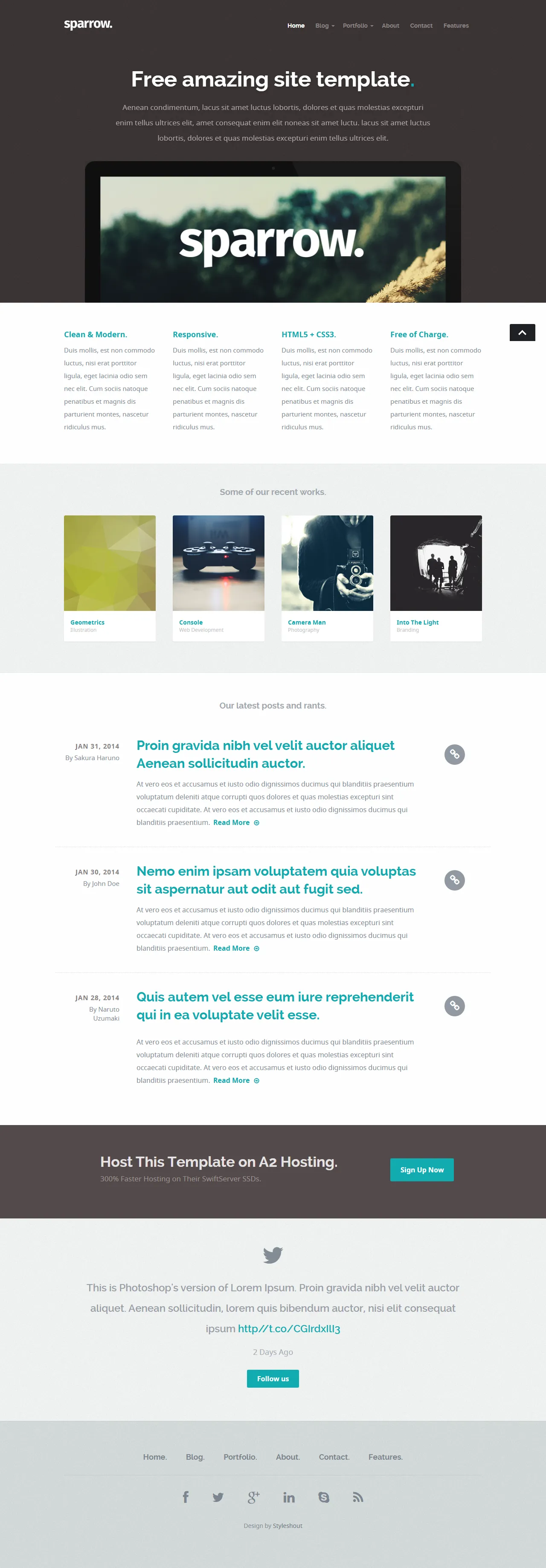 网页设计网站模板