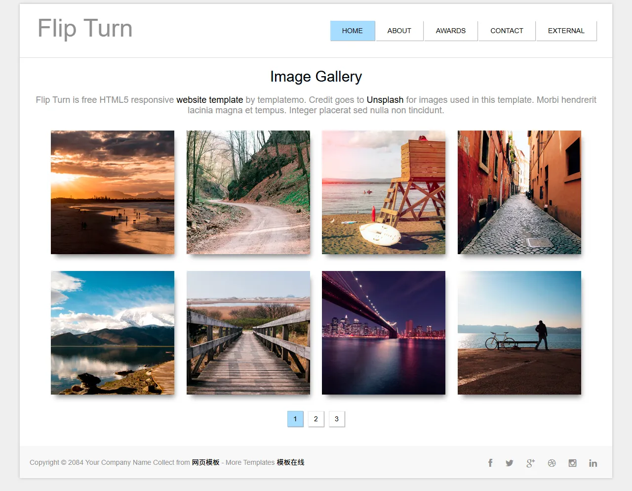 Flip Turn创意运动网站模板