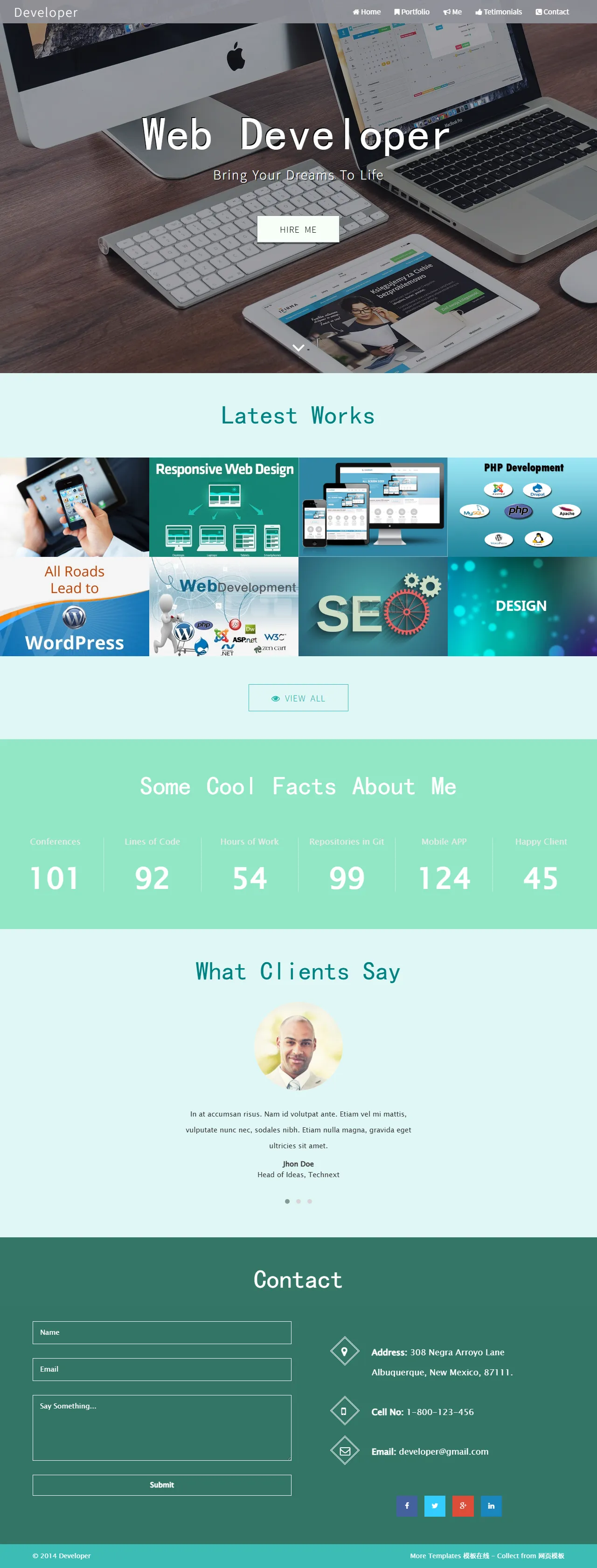 Developer开发者个人主页模板